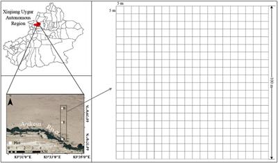 Different contributions of plant diversity and soil properties to the community stability in the arid desert ecosystem